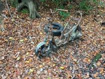 Abandoned Motorcycle I found whilst walking in the woods 