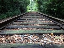 Abandoned Norfolk Southern Railroad Tracks Shortly Before Being Removed in September of  - Covington GA - 