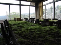 Abandoned office table covered in moss
