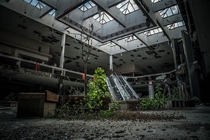 Abandoned overgrown mall in Ohio