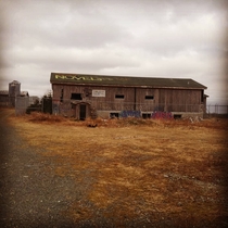 Abandoned pig slaughter house found in Newfoundland Canada