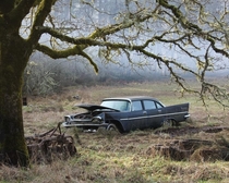 Abandoned Plymouth