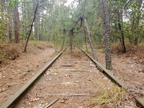 Abandoned rail line in the Pine Barrens Chatsworth NJ