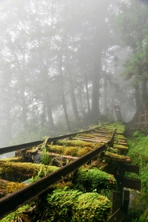 Abandoned rail road tracks at Taipingshan Yilan Taiwan