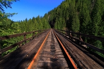 Abandoned railroad hike in an Oregon forest 