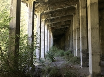 Abandoned Railway Snowshed Wellington WA USA  Deadliest Avalanche in American History