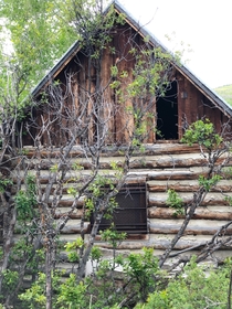 Abandoned ranchers cabin near Basalt Co