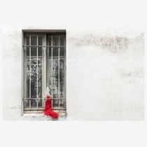 Abandoned red feather boa in abandoned flat