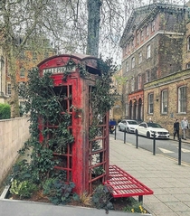 Abandoned Red Telephone box London Now a planter