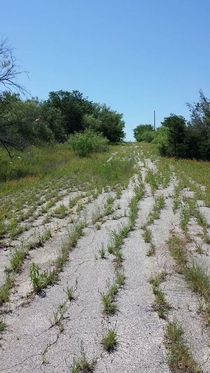 Abandoned road in central Texas 