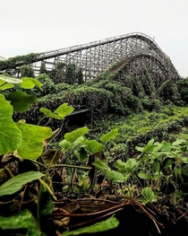 Abandoned roller coaster being taken over by nature 