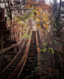Abandoned Roller coaster looks like its turned into a nature ride
