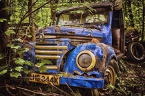 Abandoned rusted wrecked car in the wood