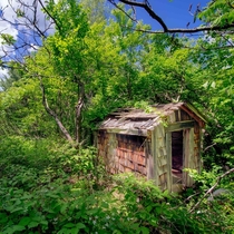 Abandoned shack in the woods of Camden Maine