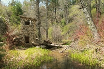 Abandoned smokehouse and weir - Doane Creek - Palomar Mountain State Park California 