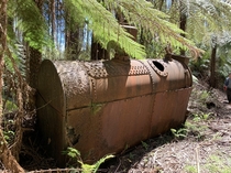 Abandoned steam boiler for logging winch Yarra Valley Australia