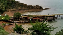 Abandoned Steam Ship Boiler still in place Quarantine Island Dunedin