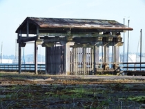 Abandoned structure on decaying dock Thea Foss Waterway Tacoma WA 