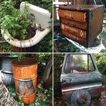 Abandoned things taken over by nature in a junkyard