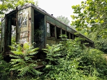 Abandoned train car near Washingtons Crossing NJ - by insta davidleestanwick 