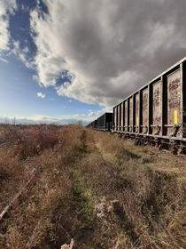 Abandoned train sitting on an unused line  windsor NS 