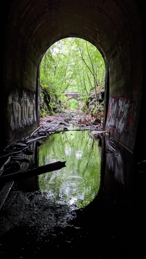 Abandoned Train Tunnel in Massachusetts OC