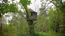 Abandoned Treehouse in the middle of a jungle 