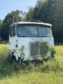 Abandoned Truck North Carolina Wife thought I was nuts pulling over and running into a field to snap this pic for you guys lol