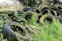 Abandoned tyres in the Irish countryside