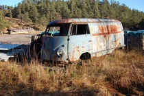 Abandoned VW buss I came over while walking the other day 