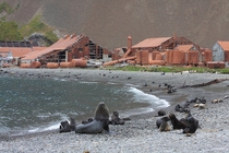 Abandoned whaling station South Georgia and the South Sandwich Islands 