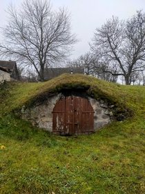Abandoned wine cellar that looks like a hobbit house