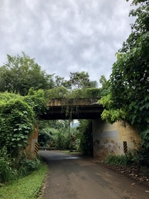 Abondoned agricultural viaduct spanning a road still in use Hawaii