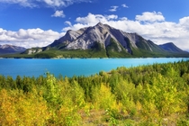 Abraham Lake Alberta 