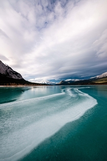 Abraham Lake in the always beautiful Banff National Park 