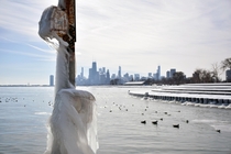 Adding to the Midwest cold - Chicago from the shore of Lake Michigan