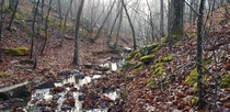 Admittedly this hike wasnt the most pleasant it was cold and rained through the night Paddy Creek Wilderness Missouri 