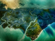 Aerial view of salt marshes in Hog Island Bay along the shore of Virginia photo by Gordon Campbell 