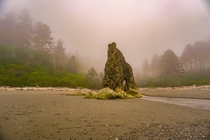 After a fully sunny day in Olympic NP the fog rolled in as I got to Ruby Beach making it look like Id always imagined the PNW is supposed to look OC x