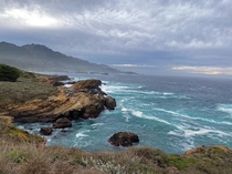After a wave of rain when sun is out - Point Lobos CA 