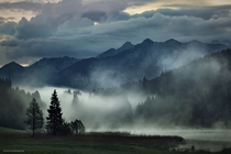 After The Rain - fog in the mountains of Bavaria Germany  photo by Kilian Schnberger