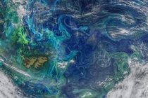 Amazing swirling patterns of phytoplankton in the South Atlantic captured recently by NASA ocean research Image Credit NASAGoddard Space Flight Center Ocean ColorNOAA-NASA-NOAA Suomi NPP