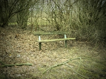 an abandoned bench