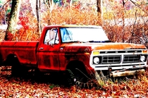 An abandoned Ford truck on the shores of Freeman lake in Chelmsford Mass This was taken  years ago and as I drove by today it is still there
