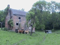 An abandoned house found near Ironbridge UK Used only by the cows now OC