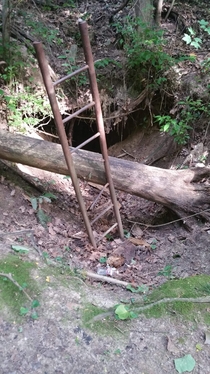 An Abandoned Ladder Sticking Out of the Ground I Found While Hiking 