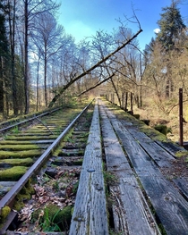 An abandoned railroad bridge just off the side of the road Snoqualmie WA 