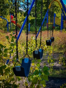 An abandoned swing set at a Detroit school