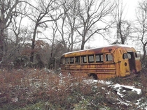 An abandoned vintage yellow school bus which now sits in the woods in Tennessee USA