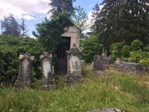 an abandonned cemetery in France oc